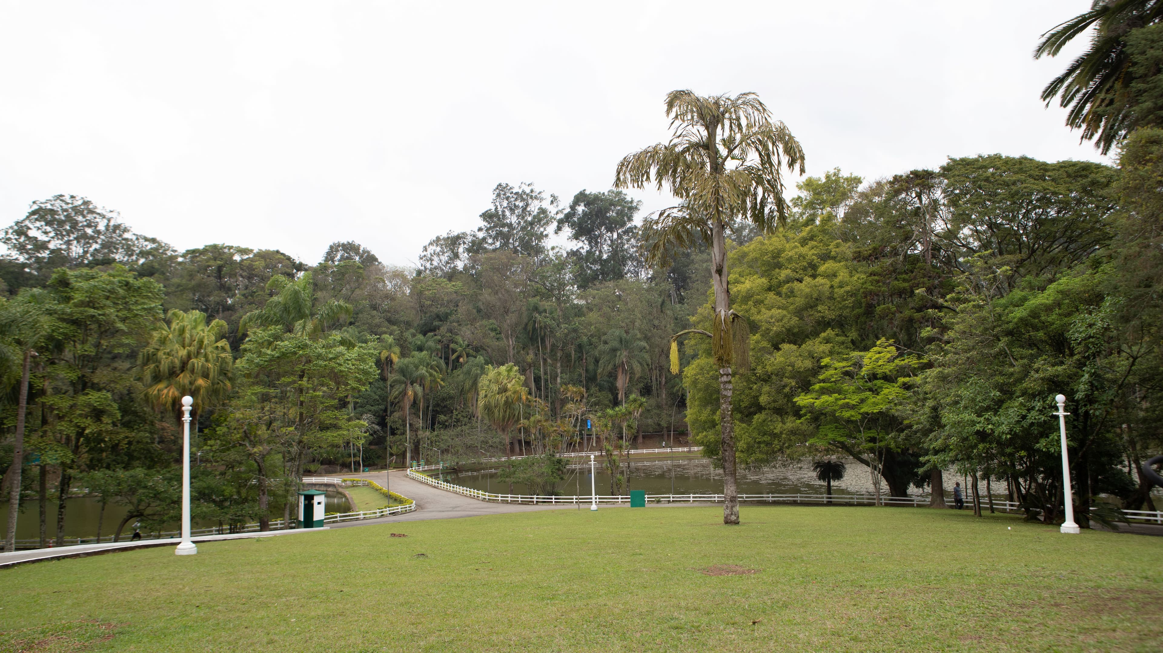 Urbia investe R$ 15 milhões no primeiro ano de gestão dos Parques Horto Florestal e Cantareira